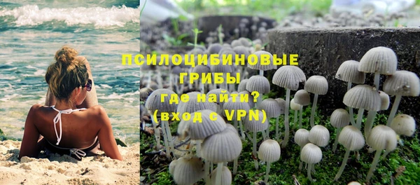 mix Абаза