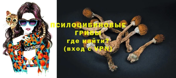мескалин Алексин