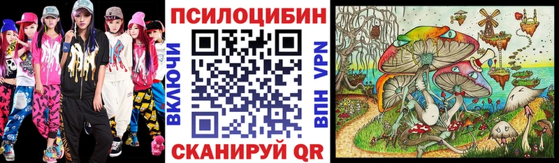 KRAKEN ССЫЛКА  Добрянка  Галлюциногенные грибы Psilocybine cubensis 
